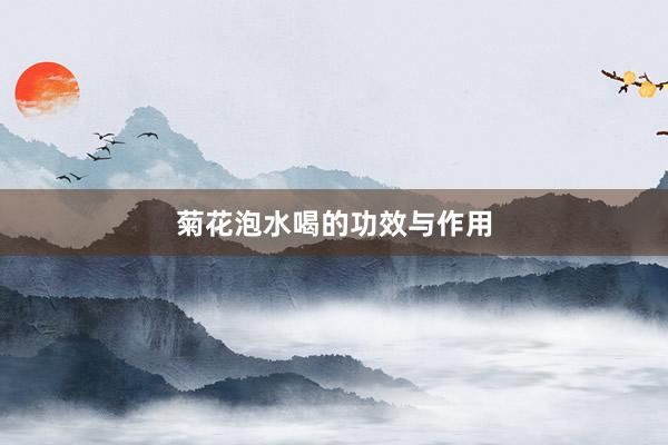 菊花泡水喝的功效与作用
