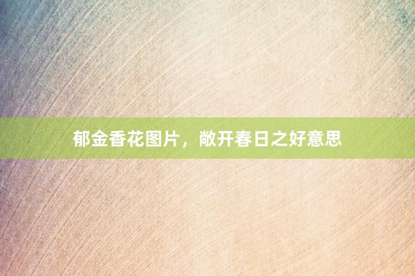 郁金香花图片，敞开春日之好意思