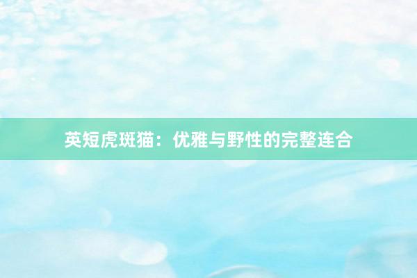 英短虎斑猫：优雅与野性的完整连合
