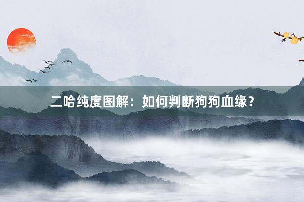 二哈纯度图解：如何判断狗狗血缘？