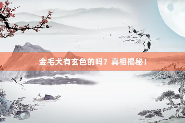 金毛犬有玄色的吗？真相揭秘！
